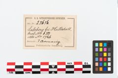 Etikett zu Bronzearmreif (NHMW-PRAE-025656)